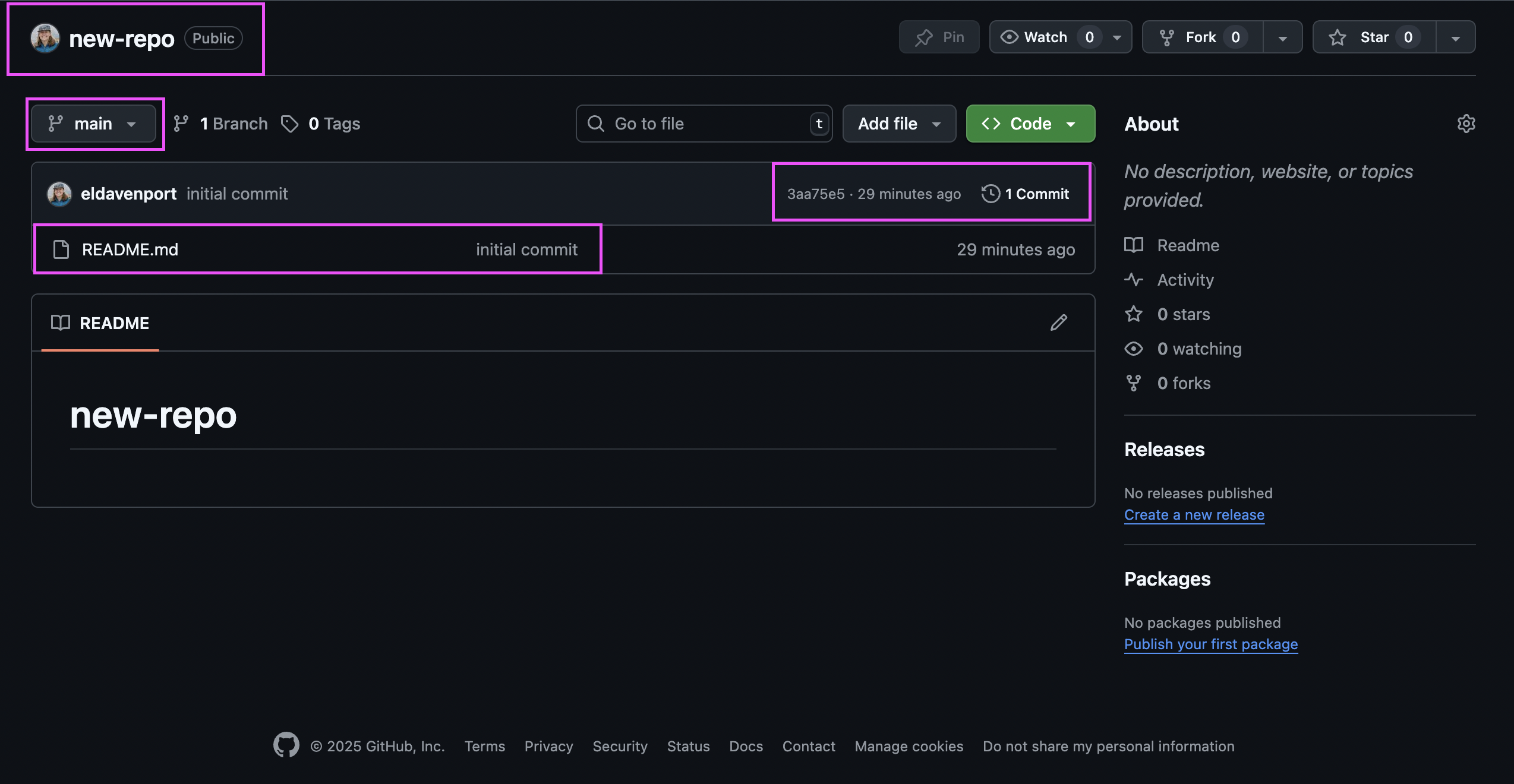 ../../_images/new_repo_on_github.png